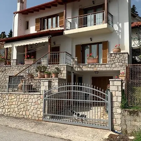 Wood And Tradition Pavliani بافلياني